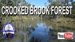 Crooked Brook Forest