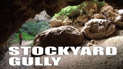 Stockyard Gully