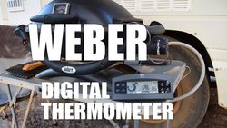 Weber Thermometer