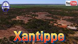 Xantippe