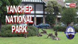 Yanchep National Park