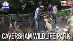 Caversham Wildlife Park