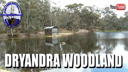 Dryandra Woodland