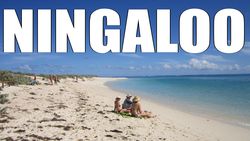 Ningaloo