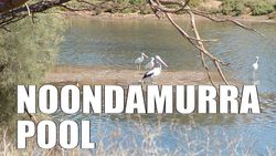 Noondamurra