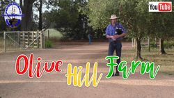 Olive Hill Farm