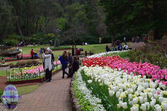 Araluen