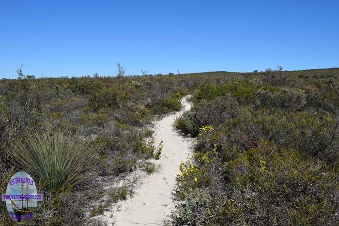 Mottlecah - Badgingarra National Park