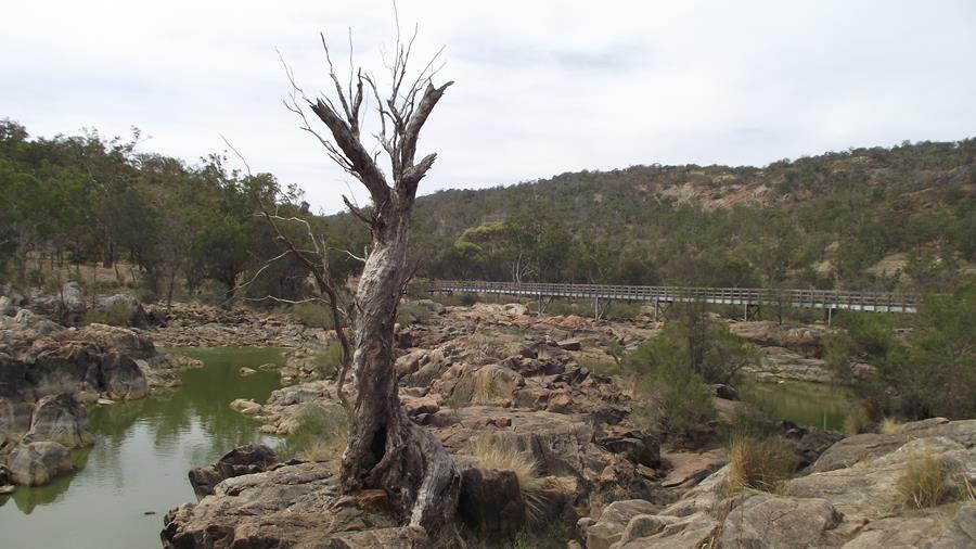 Bells Rapids