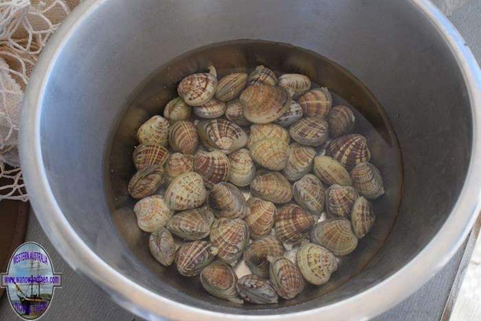 Shellfish from the sand flats