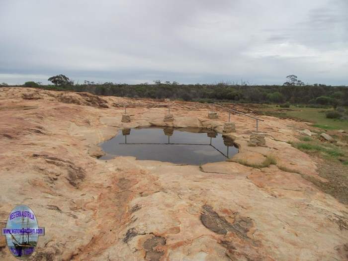 Camel Soak