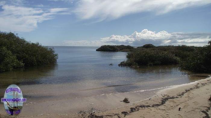 Mangrove Bay - Cape Range