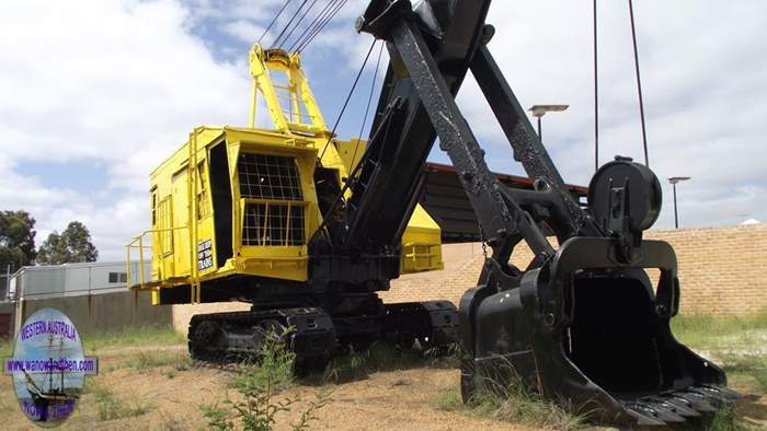 Collie - coal shovel