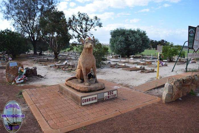 Corrigin Dog Cemetery