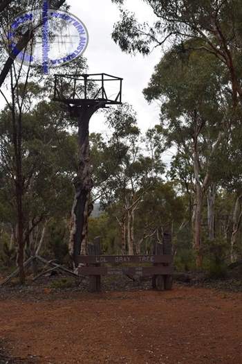 Lol Great old fire tower