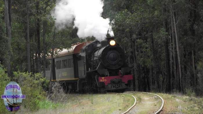 Hotham Vallery steam train heading for Dwellingup