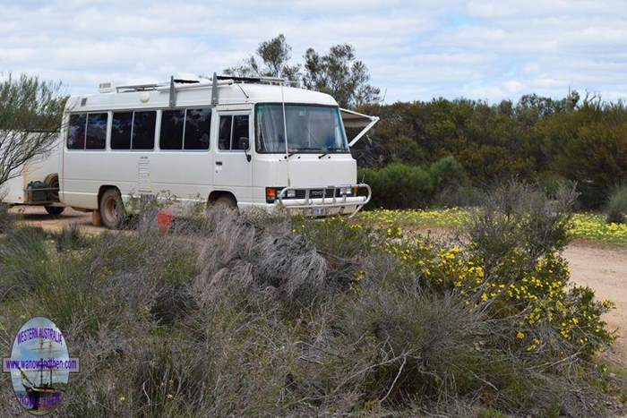 Western Flora Caravan Park