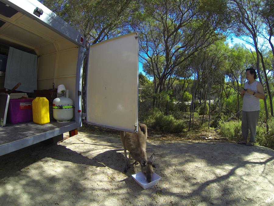 Hamersley Inlet campsite