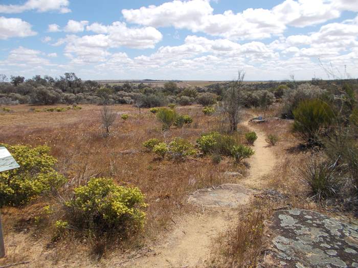 Gathercote Reserve