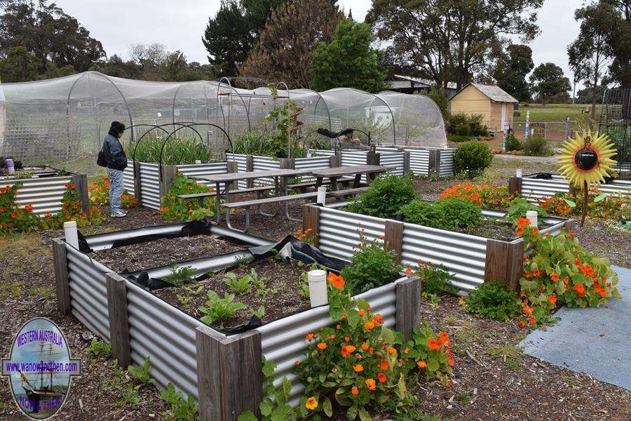 Community garden in Greenbushes