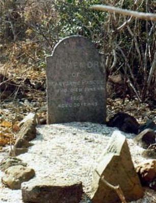 Grave on Sheep Island - Camden Harbour (c) 2007  Dennis Ford