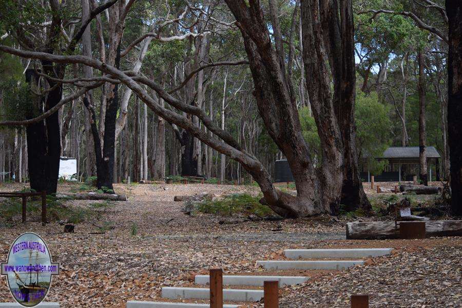 Jarrahdene campsite