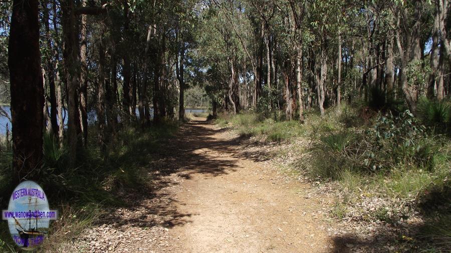 Lake Leschenaultia