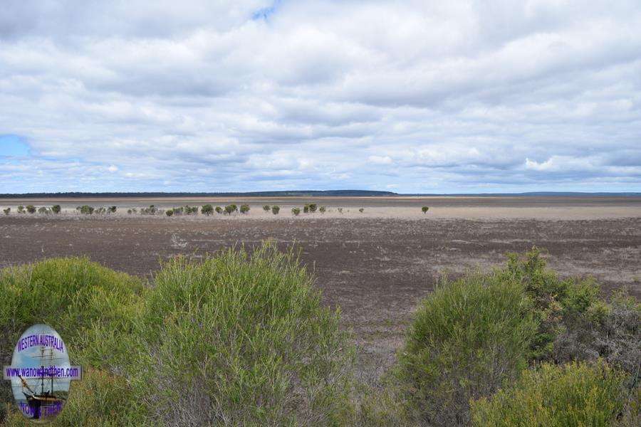 Lake Muir Bird Observatory