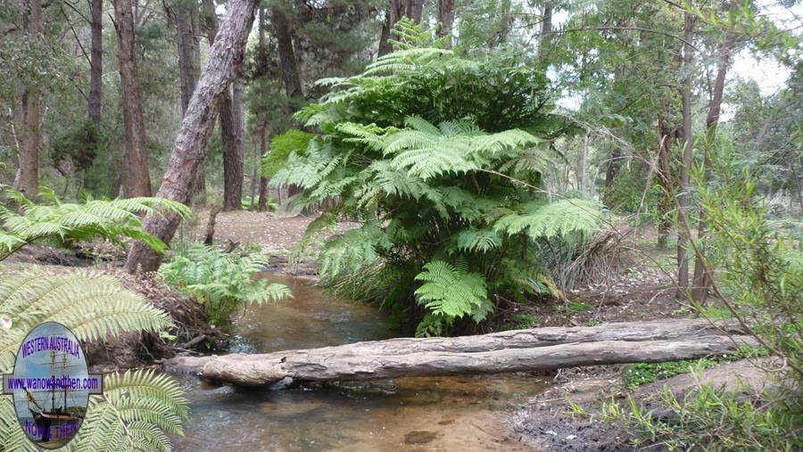 The stream at Nanga Mill