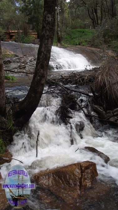 Lane Poole Reserve