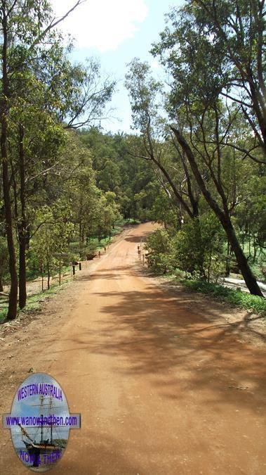 Lane Poole Reserve