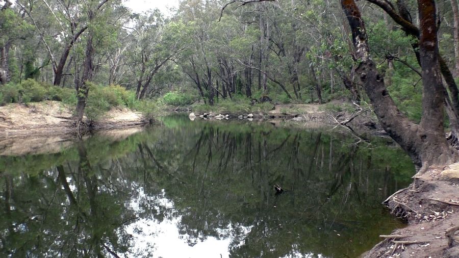 Swimming area at Yarragil