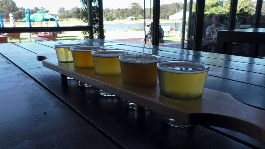 Beer tasting paddle