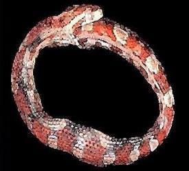 Hoop snake