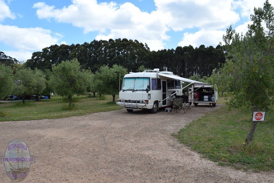 Olive Hill Farm Campsite