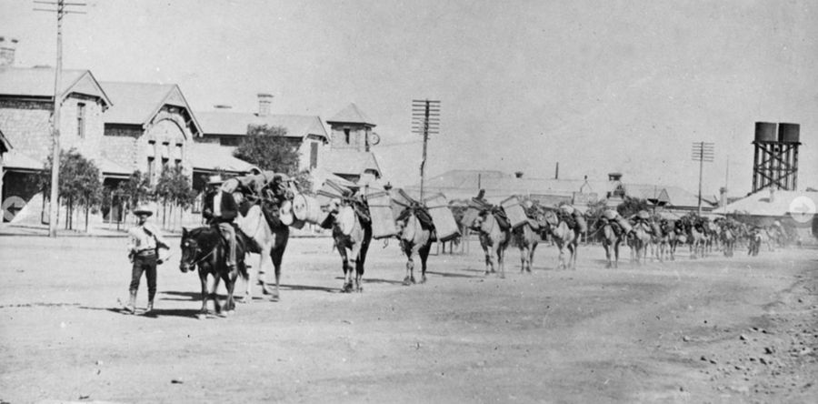 Canning expedition in Cue