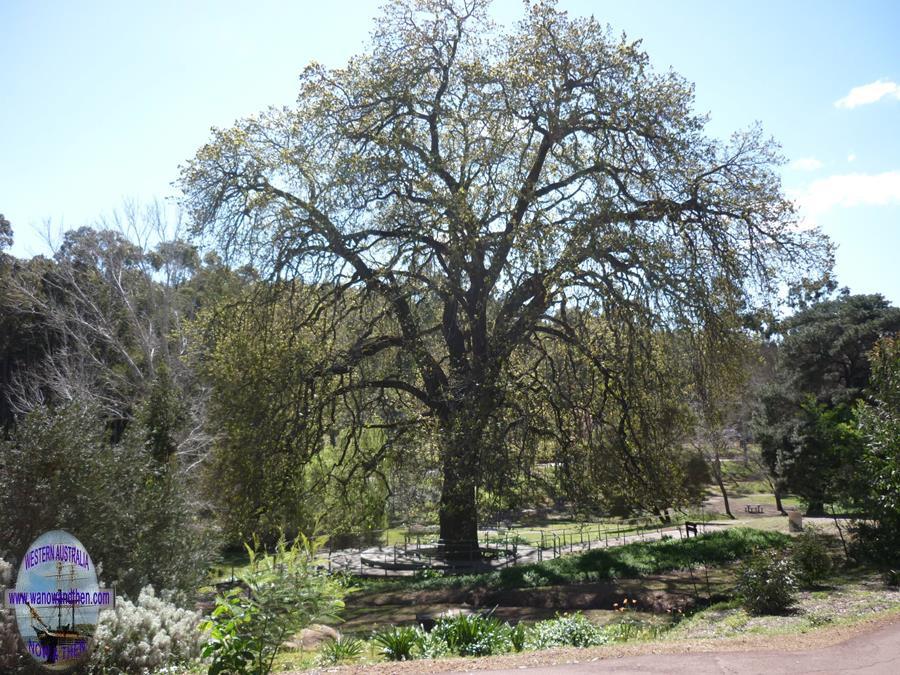 Fred Jacoby Park