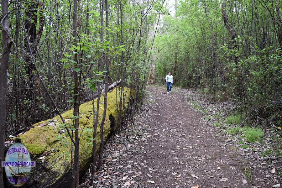 Bibbulmun track.