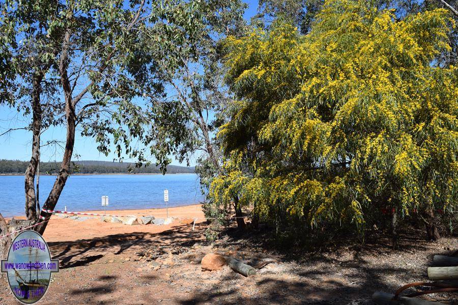 Potters Gorge