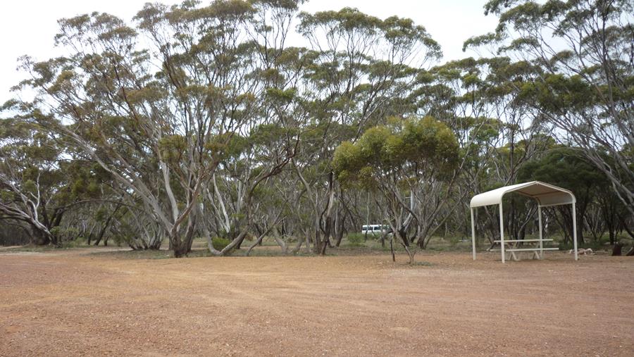 Overshot Hill Rest Area - Ravensthorpe