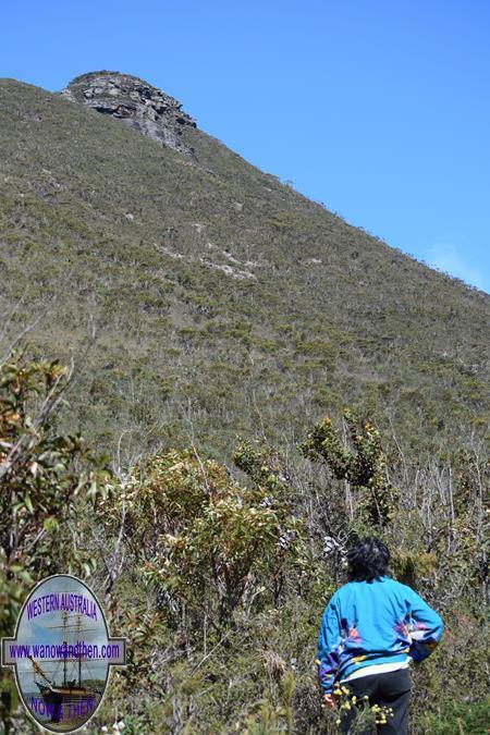 Stirling Range