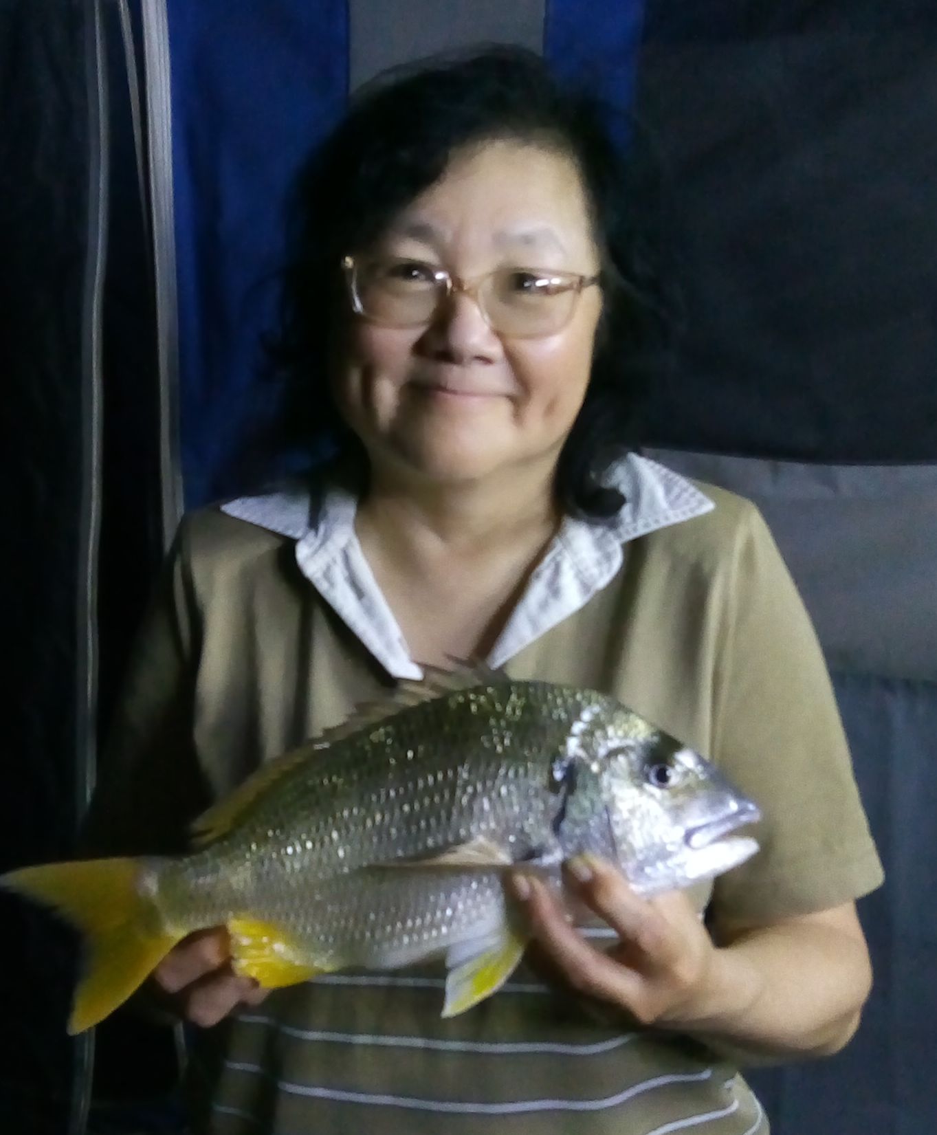 Yellowfin bream