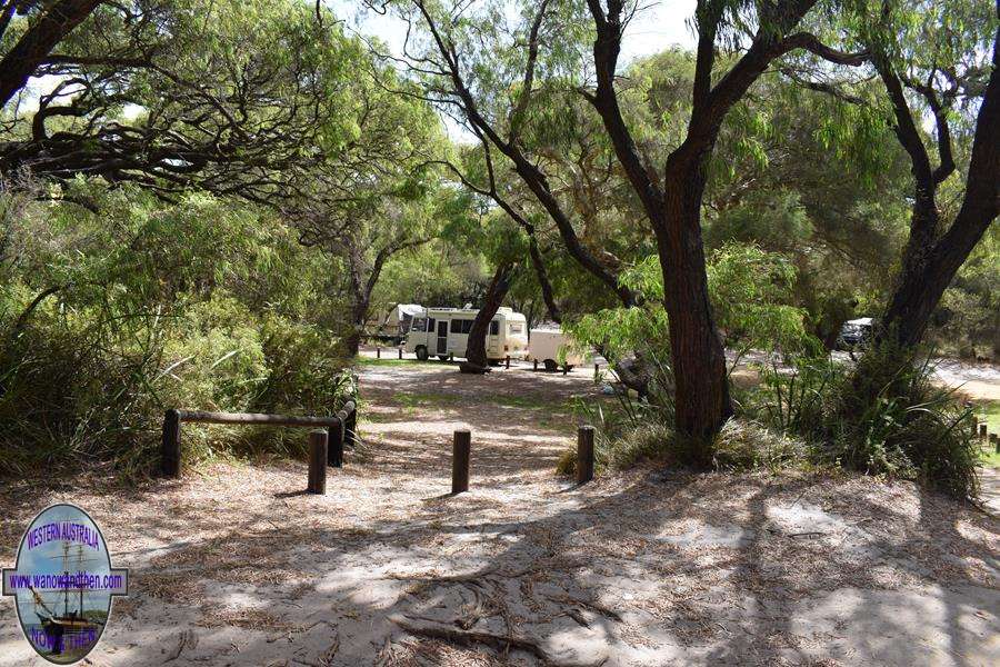 Torbay Inlet campsite