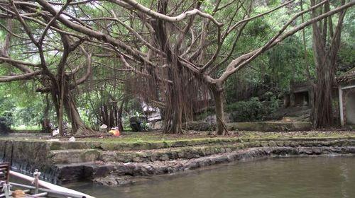 Tranquil river scene - Vietnam