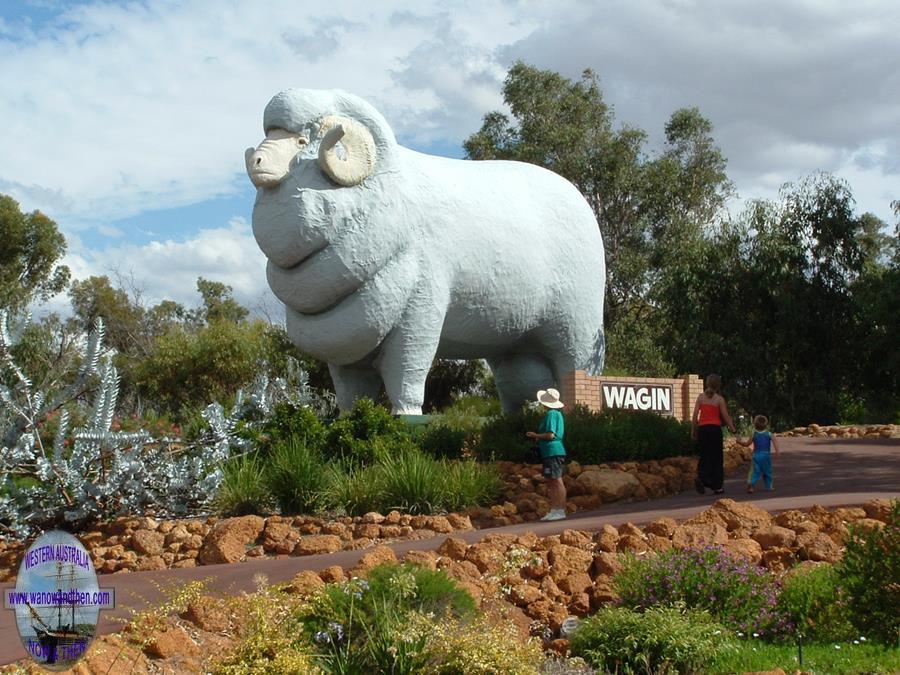 Big Ram at Wagin