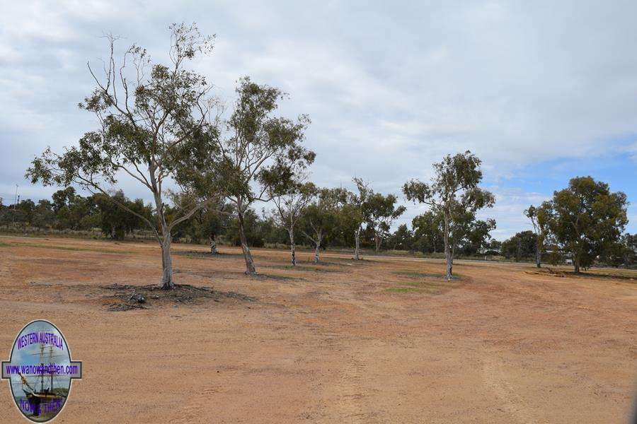 RV Rest Area at Wongan Hills