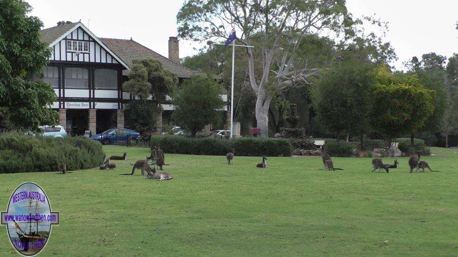 Yanchep National Park