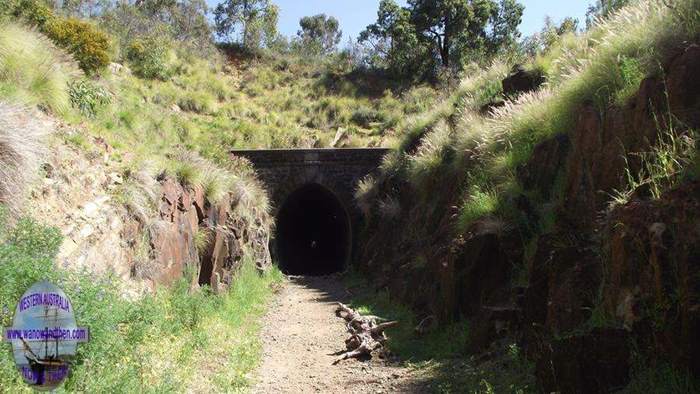 Swan-View-Tunnel-001.JPG