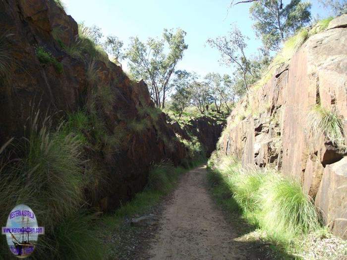 Swan-View-Tunnel-011.JPG