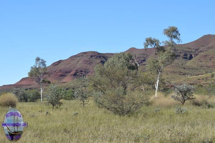 Wittenoom-2015-007.JPG